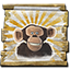 Icon for Chimps License