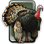 Icon for Turkey Hunter