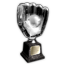 Icon for Perfect Game