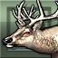 Icon for Mutant Elk