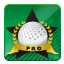 Icon for Golf Pro