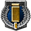 Achievement icon