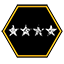 Achievement icon