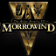 Icon for Morrowind