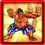 Icon for Technical Fighter