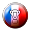 Icon for Win French Division 1