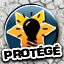 Icon for Protected