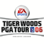 Icon for Tiger Woods PGA TOUR06