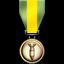 Achievement icon