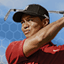 Icon for TigerWoodsPGATOUR® 08