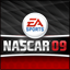 Icon for NASCAR® 09