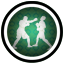 Achievement icon