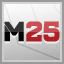 Icon for Madden NFL 25