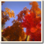 Icon for Fall hunter
