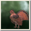 Icon for Grouse hunter