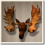 Icon for Moose fanatic