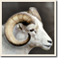 Icon for Sheep double