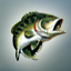Icon for Experienced Angler