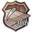 Achievement icon