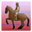 Icon for Master of Dressage