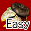 Icon for Game completed on Easy!