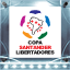 Icon for Copa Santander Libertadores King