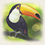 Icon for The Maltese Toucan