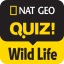 Icon for NGQ! Wild Life