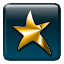 Icon for Gold Star