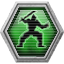 Achievement icon