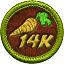 Achievement icon