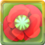 Icon for Basket Full Of Poppies