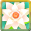 Icon for Marshmallow & Lilypad