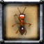Icon for Entomologist