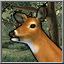 Icon for Bucks Have Antlers