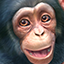 Icon for Zoo Tycoon
