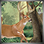 Icon for Eatin Venison Tonight