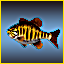 Icon for Sea Food