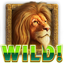 Icon for Wild Thing