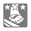 Achievement icon