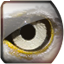 Icon for Eagle Eye