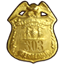 Icon for Gold Detective Badge