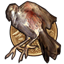 Icon for Chapter 8 Bronze Bird Award