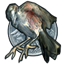 Icon for Chapter 3 Silver Bird Award