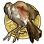 Icon for Golden Bird Award