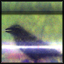 Icon for Bird Bath Xbox 360