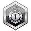 Achievement icon