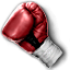 Icon for Prizefighter Demo
