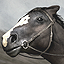 Icon for Horseman