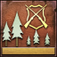 Achievement icon